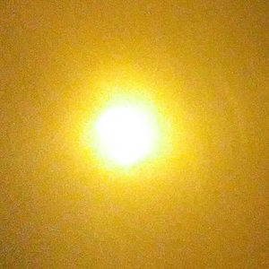 Meet your Posher, Bryan